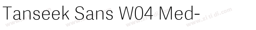 Tanseek Sans W04 Med字体转换